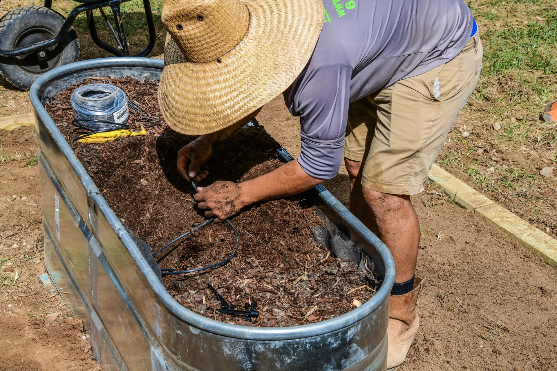 A crewman in a straw hat laying black drip tubing across fresh soil inside a galvanized stock tank, with a coil of tubing resting on the soil.